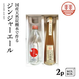 ジンジャーエール 国産天然炭酸水で作ろうセット ビートグラニュー糖【2本箱】国産 熊本 高知 長崎 無添加 無着色 生姜シロップ しょうがシロップ 温活 冷え ポカポカ 贈答 プレゼント ギフト お歳暮 母の日 父の日 内祝い 出産内祝い プチギフト 送料無料 結婚祝い