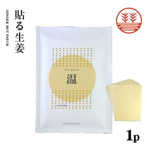 貼る生姜 10枚入り ホットパッチ 温感シート メール便 送料無料【吉田養真堂】