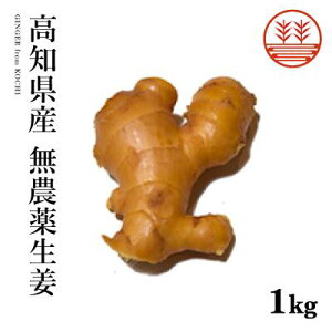 _ I mY Y  傤 VEK I _sgp Ɩp ۑ ₦  WW[ ώ   IĂ g
