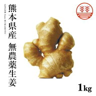 国産生姜 無農薬 熊本県産 1kg以上 送料無料 生姜専門店 農薬不使用 根生姜