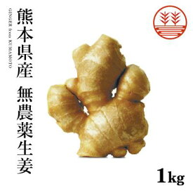 無農薬 生姜 1kg 熊本県産 国産 送料無料 しょうが ショウガ 根生姜 農薬不使用 業務用 長期保存 冷え性 温活 ジンジャー 佃煮 薬味 きざみ 生姜焼き 唐揚げ