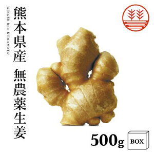 _ I 500g {ϔ F{Y Y  傤 VEK I _sgp Ɩp ۑ ₦  WW[ ώ   IĂ g Mtg  v[g 