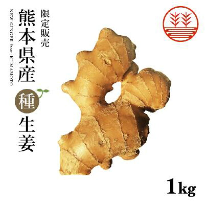 楽天市場 種生姜 熊本県産 無農薬生姜 1kg 送料無料 国産 生姜 しょうが ショウガ 生姜栽培 しょうが栽培 家庭菜園 種子 種用 たねしょうが 種 しょうが 種生姜 たね生姜 生姜種 生姜の種 栽培 種芋 根生姜 Ginger Factory 楽天市場店