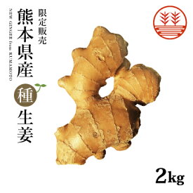 種生姜 熊本県産 無農薬生姜 2kg 送料無料 国産 生姜 しょうが ショウガ 生姜栽培 しょうが栽培 家庭菜園　種子 種用 たねしょうが 種しょうが 種生姜 たね生姜 生姜種 生姜の種 栽培 種芋 根生姜