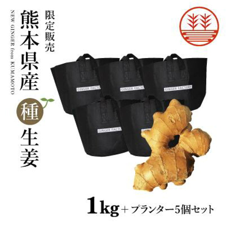 楽天市場】種生姜 熊本県産 無農薬生姜 1kg +プランター5個セット 