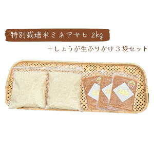 Vėߘa7NYyʍ͔|ă~lATq2kg{WW[}} 傤ӂ肩3܃ZbgzmYbVR炿̂ābEL@͔|bIӂ肩tMtgɂ