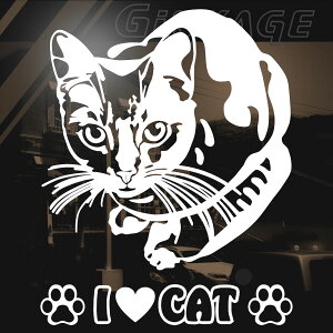 킢LXebJ[ XebJ[ I LOVE CAT gTCYF24cm×30cm XebJ[ LObY LG lRG ˂G݂킢 ˂V[ lRXebJ[ ԗp XebJ[ 