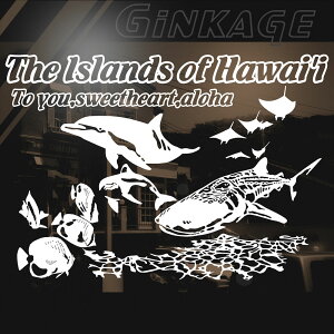 nCA XebJ[   V[p _Co[ gTCYF33cm×47cm JbeBO T[tB AEghA  hXAbv fJ[ XebJ[