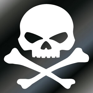 hN XebJ[ N[ fJ[ XebJ[XJ XebJ[i10cm×10cmj XebJ[ oCN XebJ[SKULL|HR100