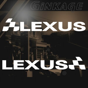NTX LEXUS XebJ[ `FbJ[ Gu gTCYF4cm×23cmE]Zbg JbeBOXebJ[ X|[c ԗp hXAbv O p[c ԗpi  JbeBOV[g