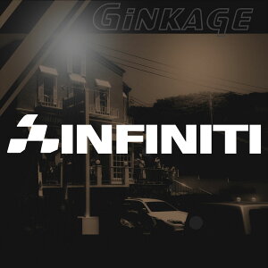 CtBjeB INFINITI XebJ[ `FbJ[ Gu gTCYF5cm×30cm p JbeBO XebJ[ X|[c ԗp hXAbv O p[c ԗpi  JbeBOV[