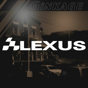NTX LEXUS XebJ[ `FbJ[ Gu gTCYF4cm×23cm p JbeBO XebJ[ X|[c ԗp hXAbv O p[c ԗpi  JbeBOV[g fJ[