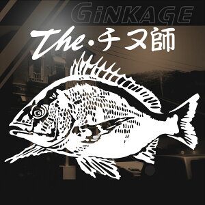  ގt ނ y c o[ XebJ[ The `kt v ނt XebJ[ CpNgQI 3M JbeBOV[g XebJ[  AKX O AEghAp gT