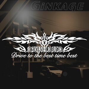 TOYOTA トヨタ アルファード ステッカー 車名・お好みの文字が入る!車 ステッカー かっこいい オーダーメイド メーカー ロゴ エンブレム 枠サイズ:16cm×48cm 3M 強粘着シート 転写式 デカール