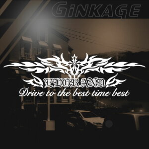 NISSAN jbT GOh XebJ[ ԖED݂̕I XebJ[  I[_[Ch [J[ S Gu gTCYF20cm×60cm 3M SV[g ]ʎ fJ[