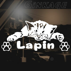 SUZUKI XYL p  [J[ S Gu Ԗ L O 킢 q˂̂Q XebJ[ 3MА JbeBOV[g ^ V[ o U ObY gTCYF12cm×