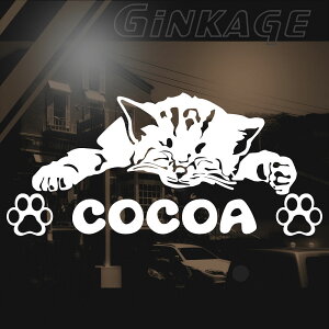 DAIHATSU _Cnc RRA  [J[ S Gu Ԗ L O 킢 q˂̂Q XebJ[ 3MА JbeBOV[g ^ V[ o U ObY gTCYF1