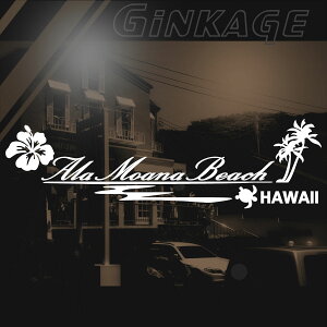 nC AAi r[` T[t@[ XebJ[ nCrXJX J V̖ T[t 3M S JbeBOV[g  XebJ[ O AKX p gTCYF16cm×55cm ]ʎ fJ[