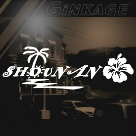 楽天市場 サーファー 車 ステッカーの通販