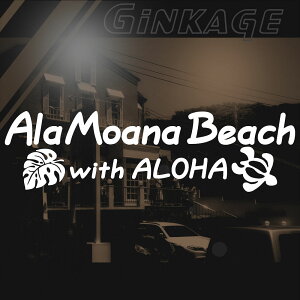  XebJ[ ȃnCA T[t AAi r[` gTCYF12cm×40cm fJ[ ^Cv Xe zk J T[t@[ An XebJ[