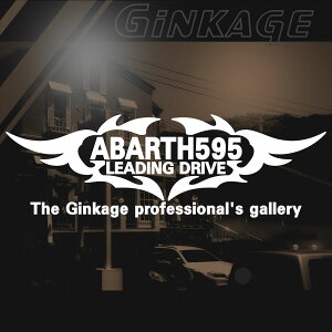 NEWGu Aog 595  XebJ[ ԗp AKX fJ[ XebJ[ gh Ԏɍ킹 3TCY`I J[pi XebJ[ 