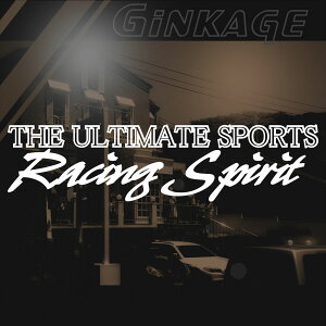 [VO Xsbc XebJ[   TCYF6cm×23cm JbeBO AeBbg X|[c J[ oCN GT T[Lbg htg hXAbv