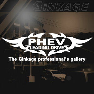 NEWGu OH AEg_[ PHEV  XebJ[ ԗp AKX fJ[ XebJ[ gh Ԏɍ킹 3TCY`I J[pi XebJ[ 