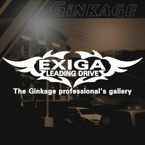 NEWGu Xo GNV[K  XebJ[ ԗp AKX fJ[ XebJ[ gh Ԏɍ킹 3TCY`I J[pi XebJ[ 