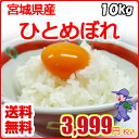 【送料無料】【税込】【白米】宮城県産 送料無料 お取り寄せ ひとめぼれ 10kg!北海道・九州・沖縄・離島は追加送料かかります 米 平成29年産