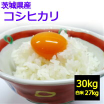 楽天市場】茨城県産コシヒカリ 30kgの通販
