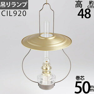  |RICv-10Ԋcv(݂胉v7c P NA[10)(CIL920)yRCPzyasuz