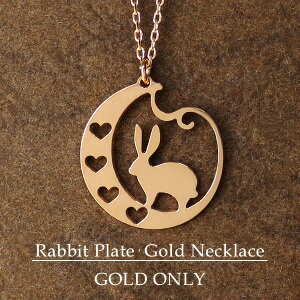   n[g VGbg K10 sNS[h lbNX S[h 10 10k ETM e rbg   v[g l l킢 l Y ꂢ i fB[X 