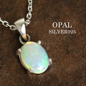 VR vVXIp[ J{VJbg Vo[lbNX Vo[925 Ip[ p[Xg[ lbNX ꗱlbNX ꗱ fB[X 10 a VR WG[ lC 