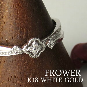 K18 zCgS[h VR _Ch t[ O 5`13 18 18k k18S[h  ͂ g k fB[X S[h  w NX}X v[g WG[ ޏ