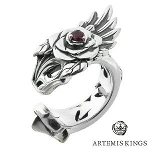 Ae~XLOX KN C[Jt 1P Ўp C[JtX mz[ sAX o [Y Y fB[X Vo[C[Jt Vo[925 YC[Jt YsAX fB[X