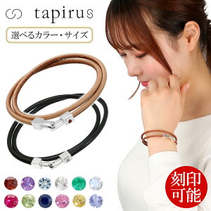 TAPIRUS v U[ uXbg a d Vv  Y fB[X{ Y {v v Vo[ uX uh v[g 2A VR lC j  ގ ޏ a L