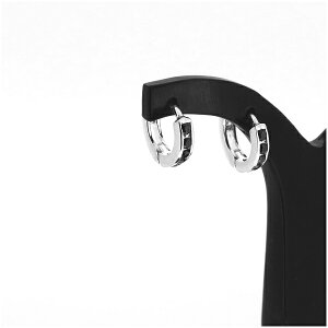 WRjA t[vsAX 2P p 10mm ubNCZ pF ubN sAX CO Vo[925  Vo[ANZT[ Y fB[X j  ANZT[ Mtg v[g 