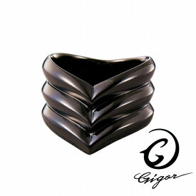GIGOR ジゴロウ トリプルエンジィリング FIENAL series フィーナルシリーズ ブラックコーティング 黒 V字 V型 ブイ 太目 太い ボリューム シルバー925 シルバーアクセサリー 銀 SV925 指輪 シルバーリング 銀指輪 メンズリング レディースリング メンズ ハード 存在感