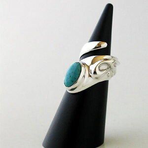 Give Me a Wing XpC O ^[RCY fB[X 10~23 w t[TCY Vo[925 Vo[ VR u[   gR a 12 L 傫 傫 傫TCY  H 