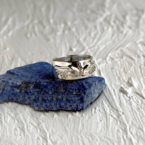 Give Me a Wing ł ECO O fB[X 7~18 w Vo[925 Vo[ Vo[O  H ANZT[ L 傫 傫 傫TCY TO  ޏ  ꂢ Y 