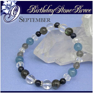 9 a uXbg Tt@CA MtgBOXt 17.5cm fB[X LTCY Tt@C uhCg u[JTCg VR p[Xg[  a΃uXbg  ޏNX