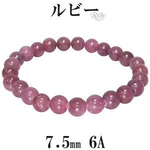 r[ 6A O[h uXbg 7.5mm 16.5`18cm S`L TCY a 7 VR p[Xg[  r fB[X  bh  r[uXbg VR΃uXbg p[Xg[