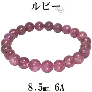 r[ 6A O[h uXbg 8.5mm 16.5`18.5cm S`LL TCY a 7 VR p[Xg[  r fB[X  bh  r[uXbg VR΃uXbg p[Xg[