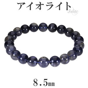 ACICg uXbg 8.5mm 17.5cm YM fB[XL TCY 3 a VR p[Xg[ uX EH[^[Tt@CA ACICguXbg Y fB[X VR΃u