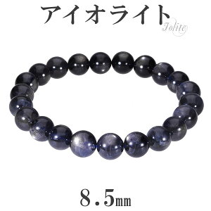 ACICg uXbg 8.5mm 17.5cm YM fB[XL TCY 3 a VR p[Xg[ uX EH[^[Tt@CA ACICguXbg Y fB[X VR΃u