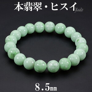 {Ő i uXbg 8.5mm 16cm fB[XS TCY Ő qXC Ђ VR p[Xg[ a 5 fB[X  r  O[ ŐuXbg qXCuXbg p