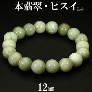 {Ő uXbg 12mm 17.5`19cm M`LLTCY Ő qXC Ђ a 5 VR p[Xg[ WFCh WF_Cg Y fB[X  r  O[ ŐuXbg qXC