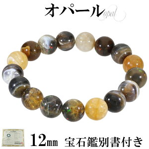 VR Ip[ G`IsAY uXbg Ίӕʏ t 12mm 18.5cm YL fB[XLL TCY 10 a vVXIp[ VR p[Xg[ Y fB[X r  Ip