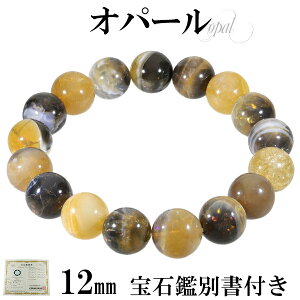 VR Ip[ G`IsAY uXbg Ίӕʏ t 12mm 18.5cm YL fB[XLL TCY 10 a vVXIp[ VR p[Xg[ Y fB[X r  Ip