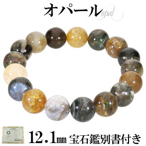 VR Ip[ G`IsAY uXbg Ίӕʏ t 12.1mm 18.5cm YL fB[XLL TCY 10 a vVXIp[ VR p[Xg[ Y fB[X r  Ip